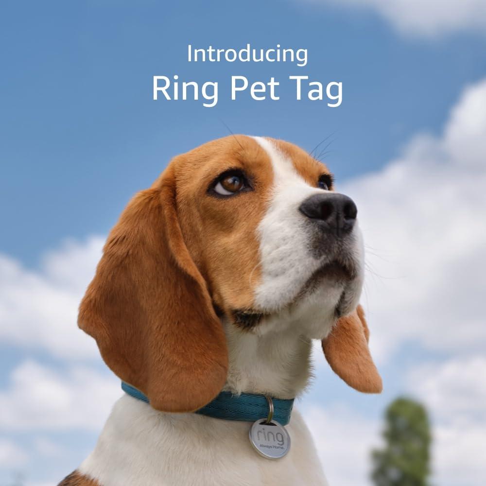 imageRing Pet Tag  Easytouse tag with QR code  Realtime scan alerts  Shareable Pet Profile  No subscription or fees3 Pet Tags