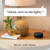 imageAllnew Echo 4th Gen  Glacier White  bundle with Ring A19 Smart LED Bulb