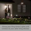 imageRing Solar Pathlight  Outdoor MotionSensor Security Light Black Starter Kit 2pack
