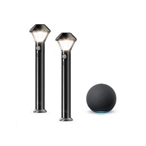 imageRing Solar Pathlights 2pack bundle with Echo 4th Gen  Charcoal2 Pathlights  Echo 4th Gen