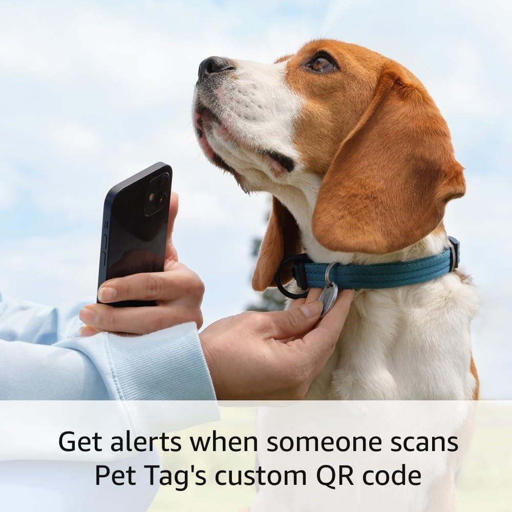 image2 Ring Indoor Cam 2nd Gen Black with 2 Ring Pet Tag