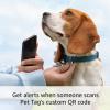 image2 Ring Indoor Cam 2nd Gen Black with 2 Ring Pet Tag