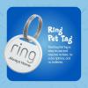 imageBlue Buffalo Bursts Crunchy ampamp Creamy Cat Treats Chicken 12oz Tub  Ring Pet Tag