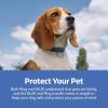 imageBlue Buffalo Bits Soft ampamp Chewy Dog Treats Chicken Recipe 11oz Bag  Ring Pet Tag
