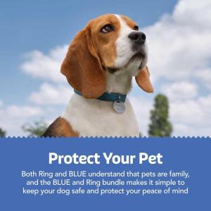 imageBlue Buffalo Bits Soft ampamp Chewy Dog Treats Chicken Recipe 11oz Bag  Ring Pet Tag